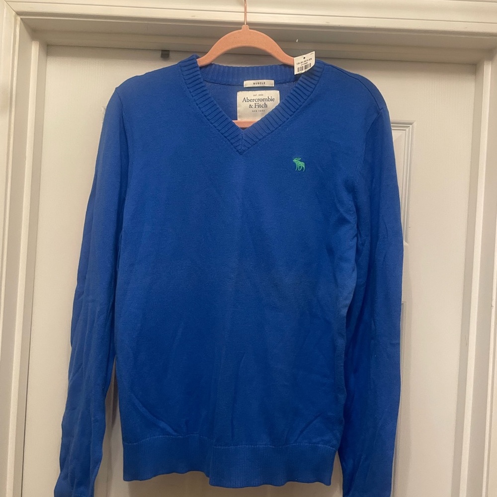 Abercrombie & Fitch Blue Cashmere-Blend V-Neck Sweater NWT